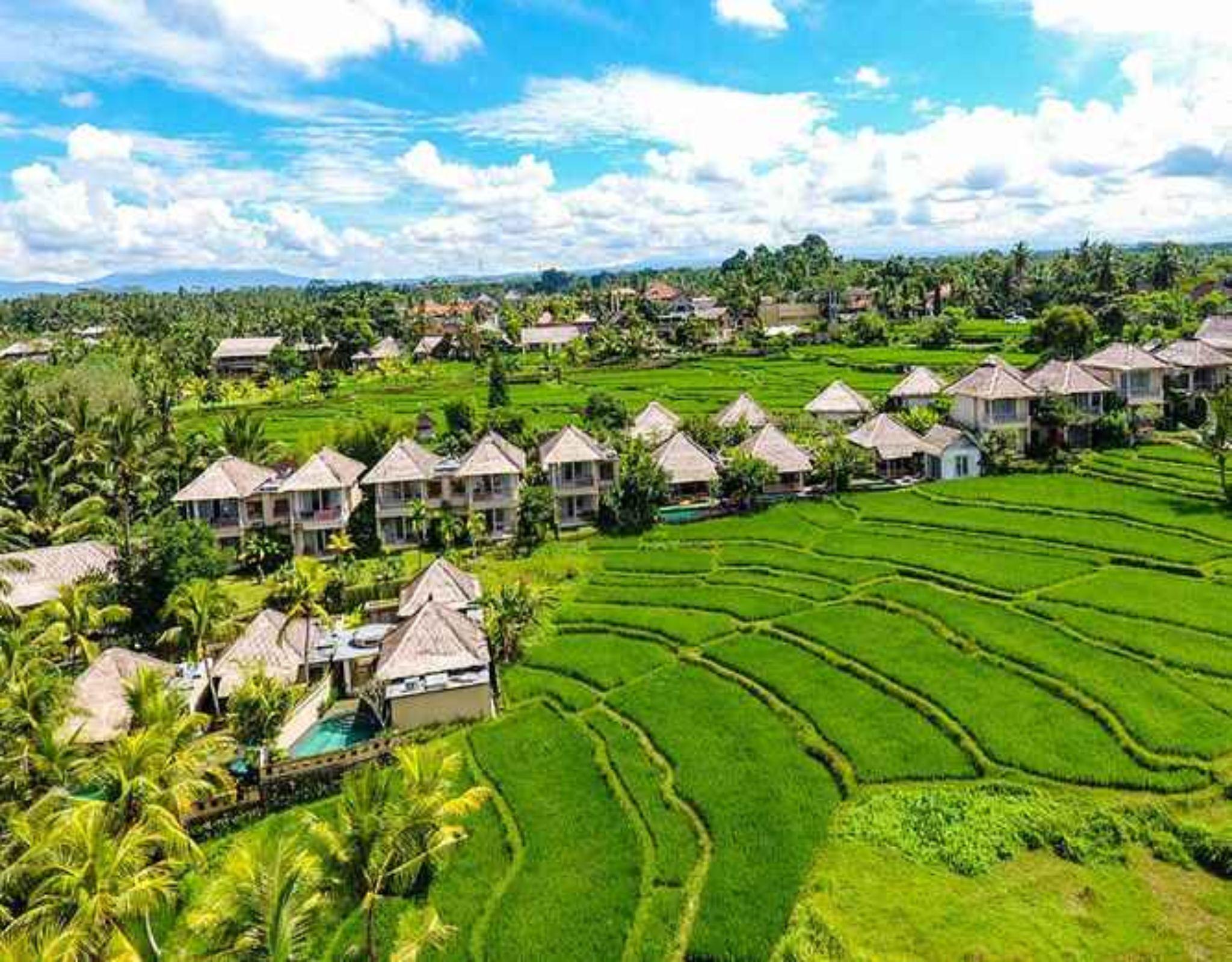 Mesari Hotel Ubud Luaran gambar
