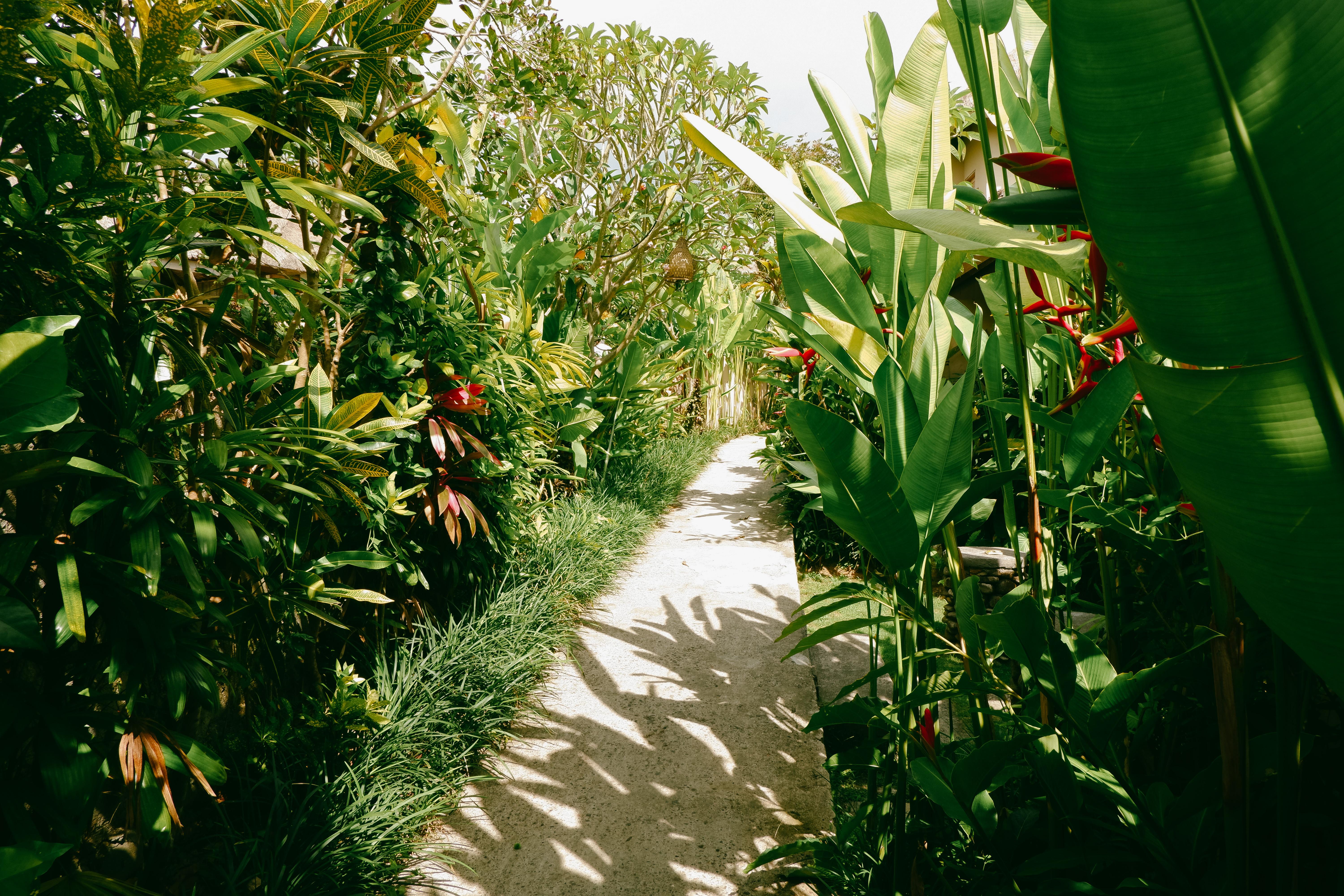 Mesari Hotel Ubud Luaran gambar