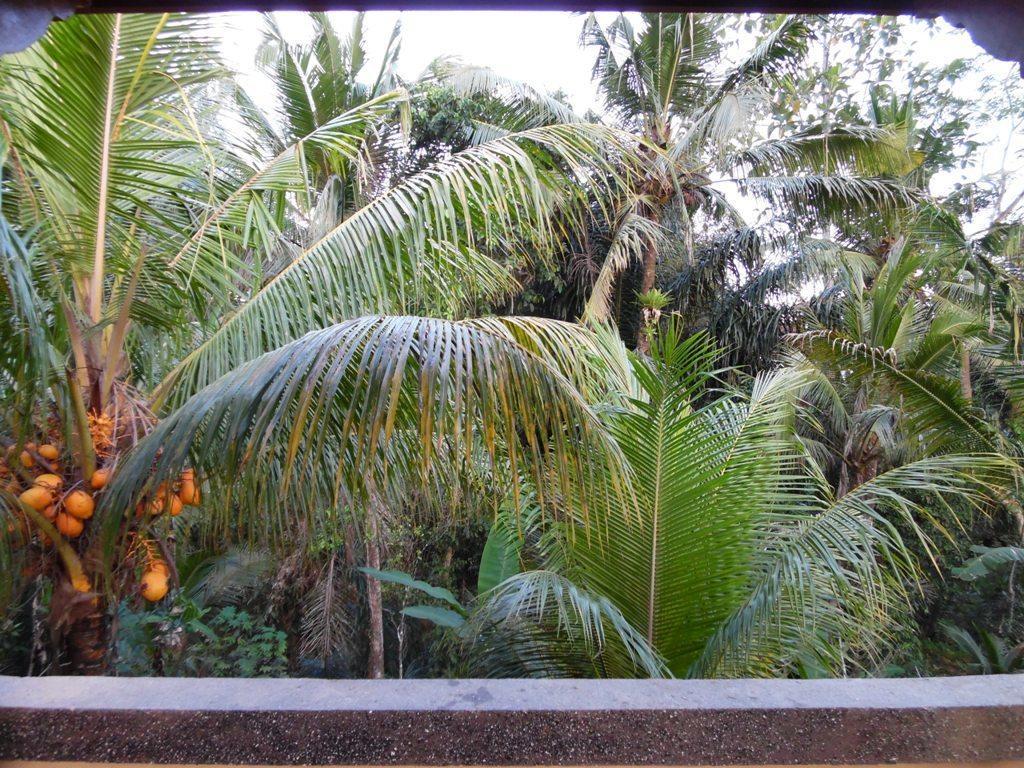 Mesari Hotel Ubud Luaran gambar