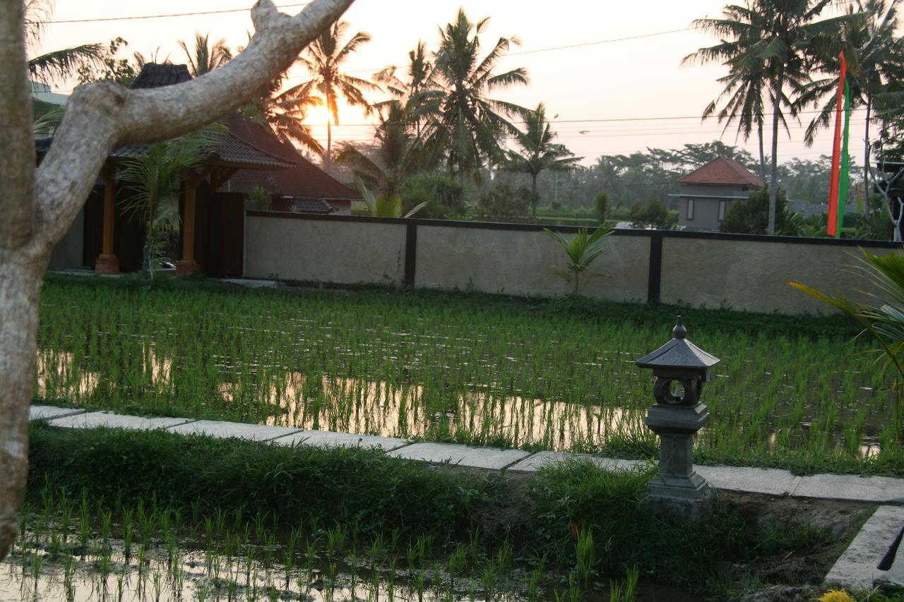 Mesari Hotel Ubud Luaran gambar