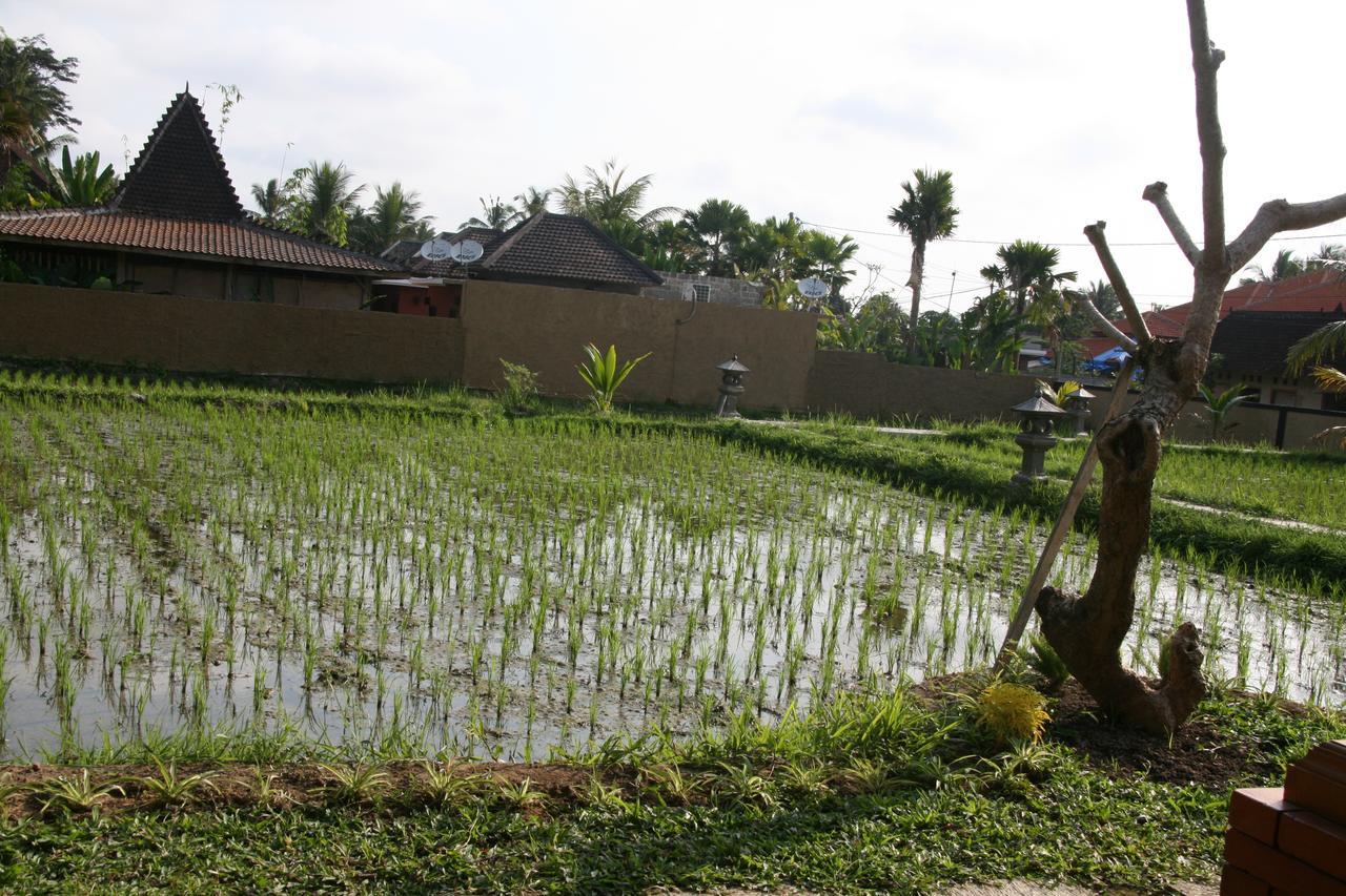 Mesari Hotel Ubud Luaran gambar