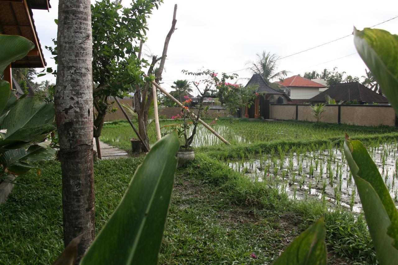 Mesari Hotel Ubud Luaran gambar